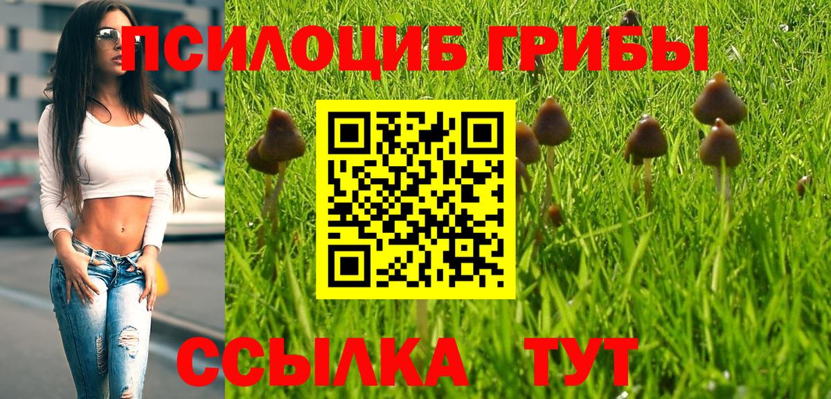 Галлюциногенные грибы прущие грибы  Вход с VPN  где купить наркоту  Кувандык 