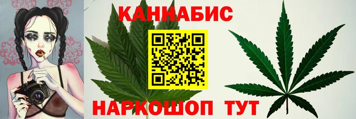 Каннабис план Кувандык